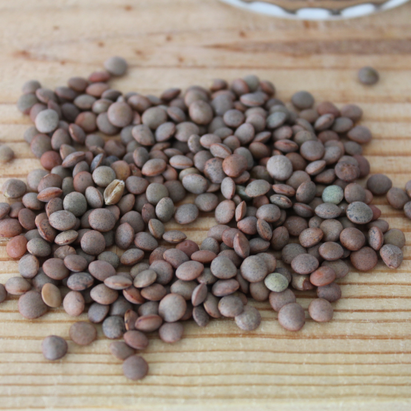 Lenteja Pardina Origen Español 1KG – DELICATOLA Lenteja Pardina Origen Español 1KG – DELICATOLA